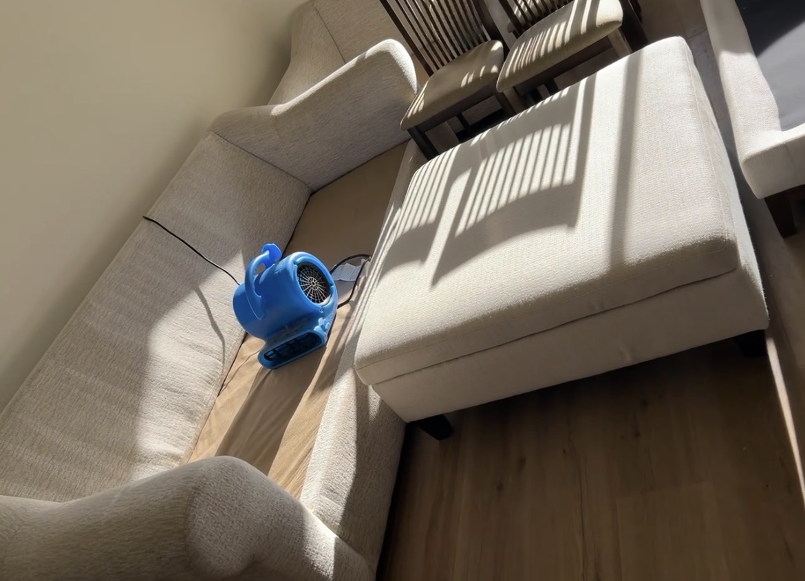 After: Upholstery cleaning & drying