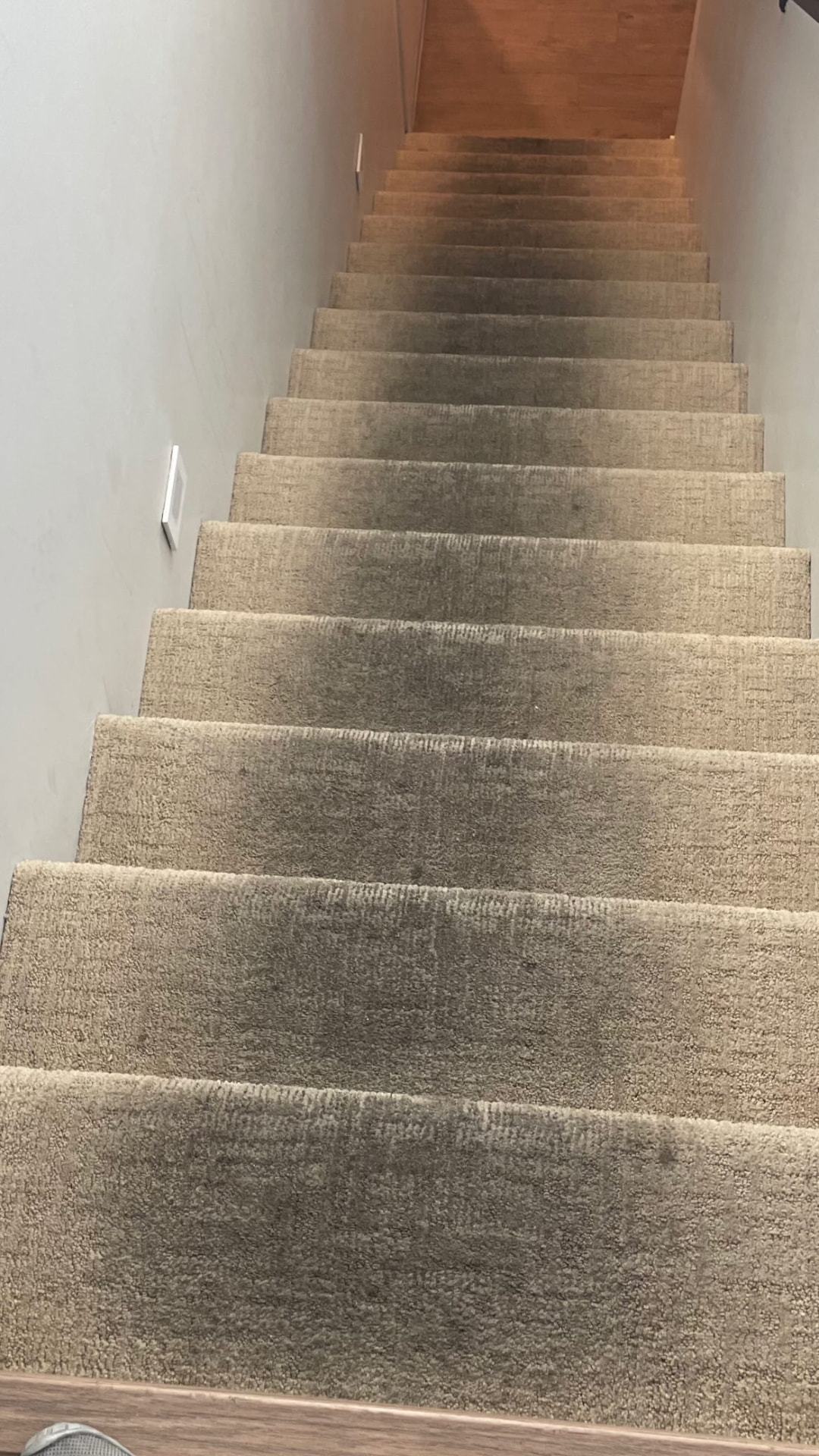 Before: Carpeted stairway deep clean